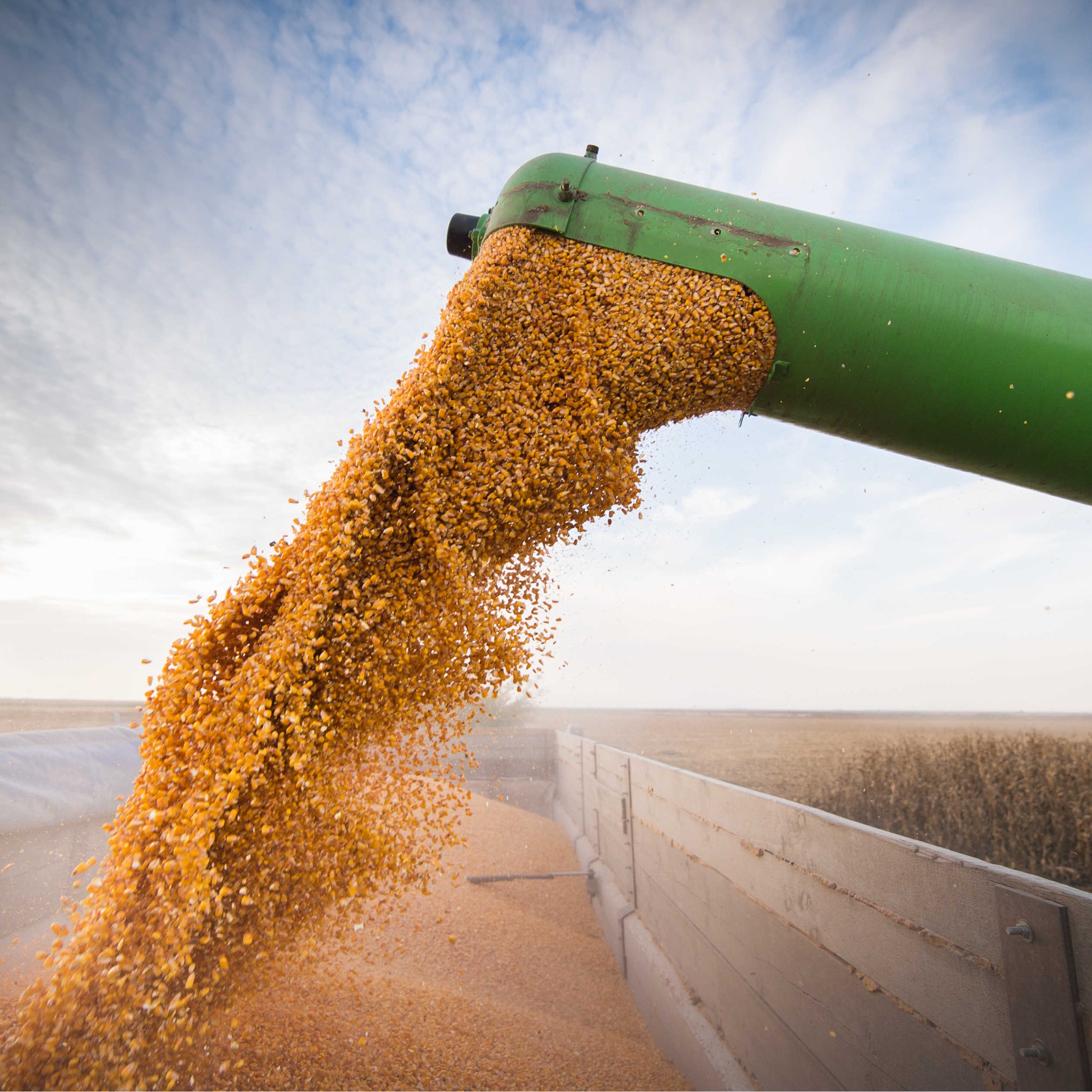 Stored Grain Protection Solutions — My Store